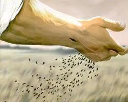 sowing-seeds